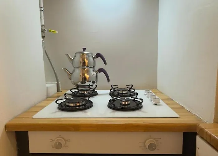 Guendogdu 公寓 伊斯坦布尔