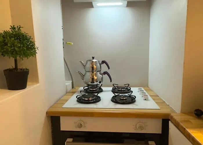 Guendogdu アパート